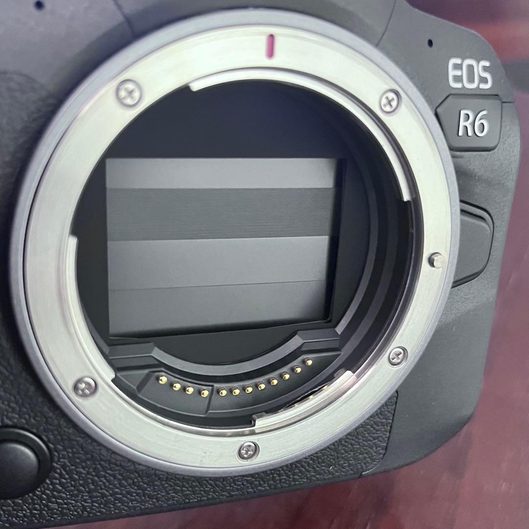Canon EOS R6 セット