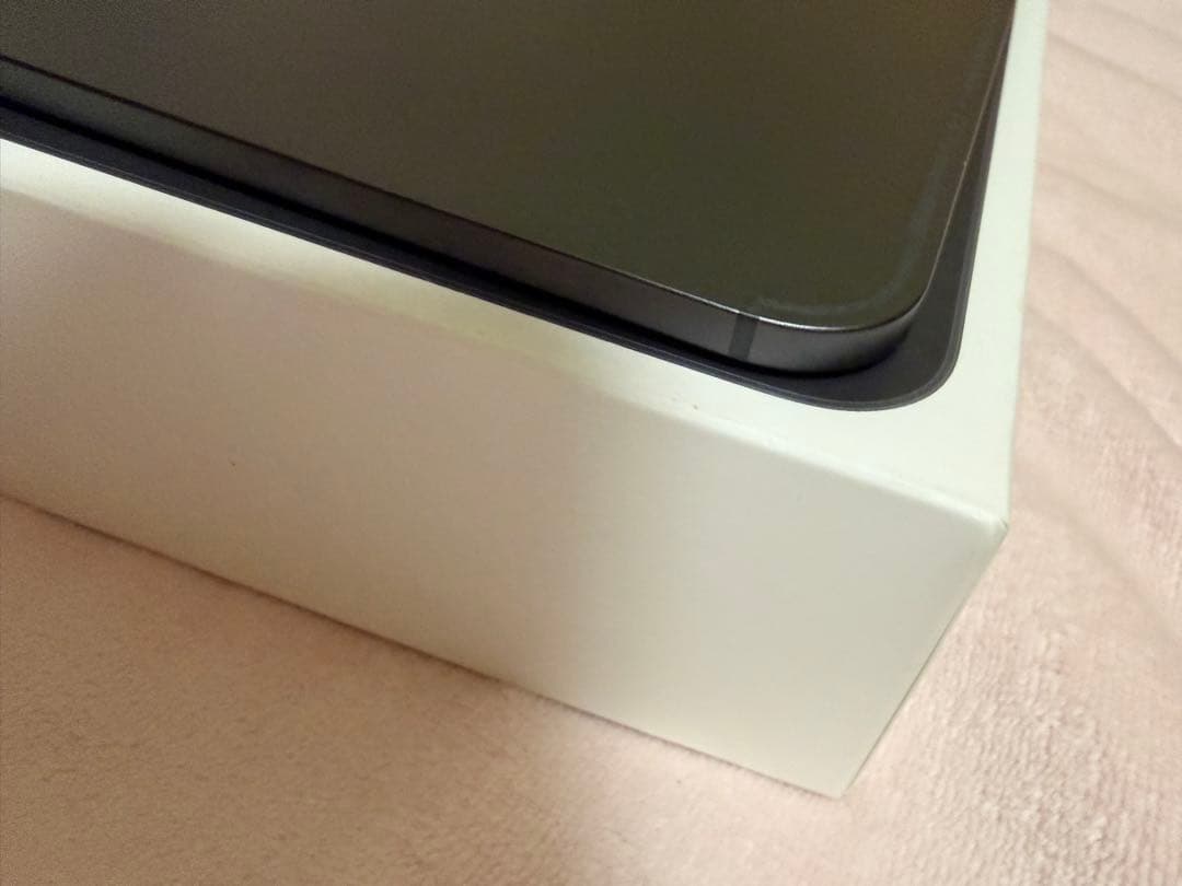 iPad Pro M4 11インチ　セルラーモデル　美品