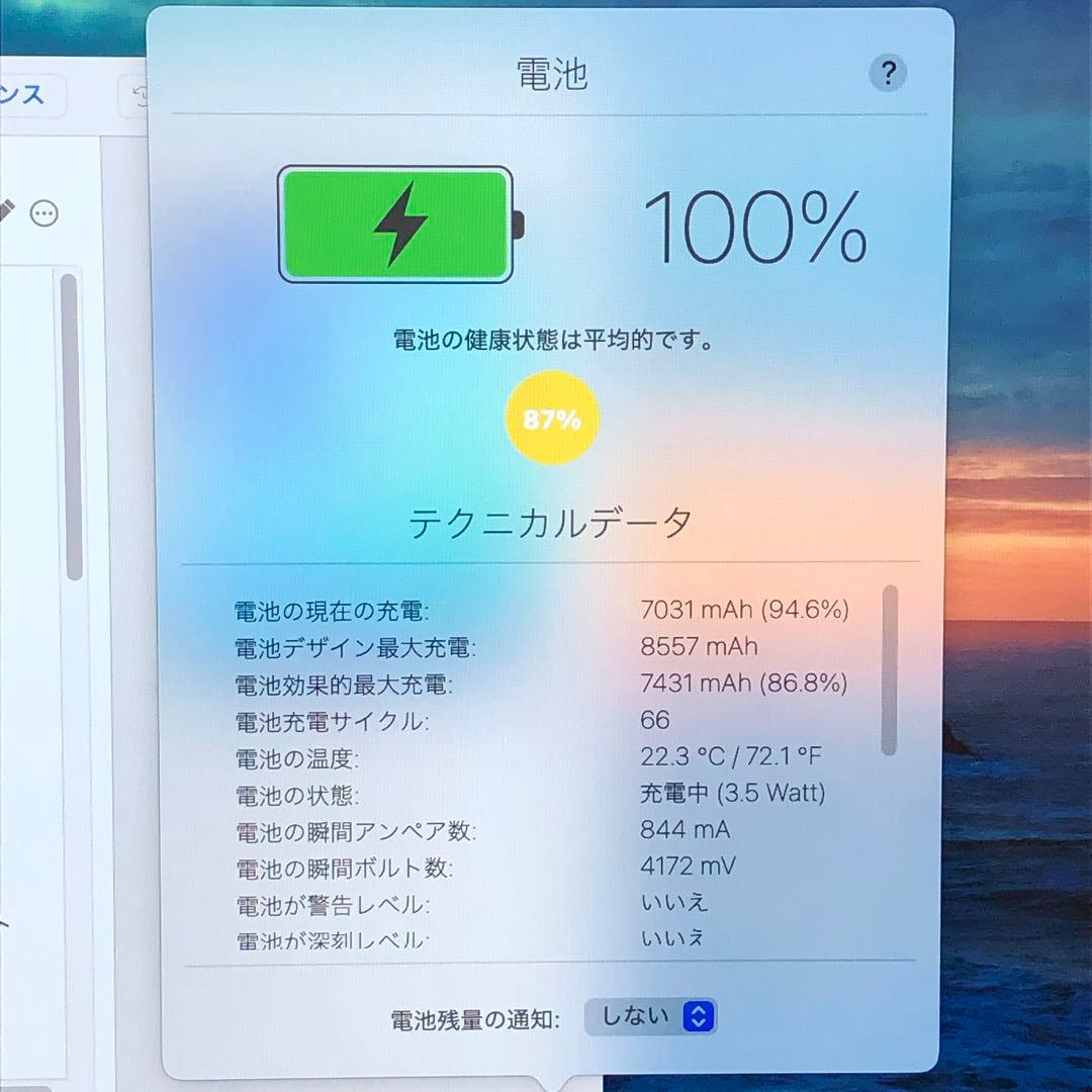 iPad 第9世代 wifiモデル 64GB 管理番号：395