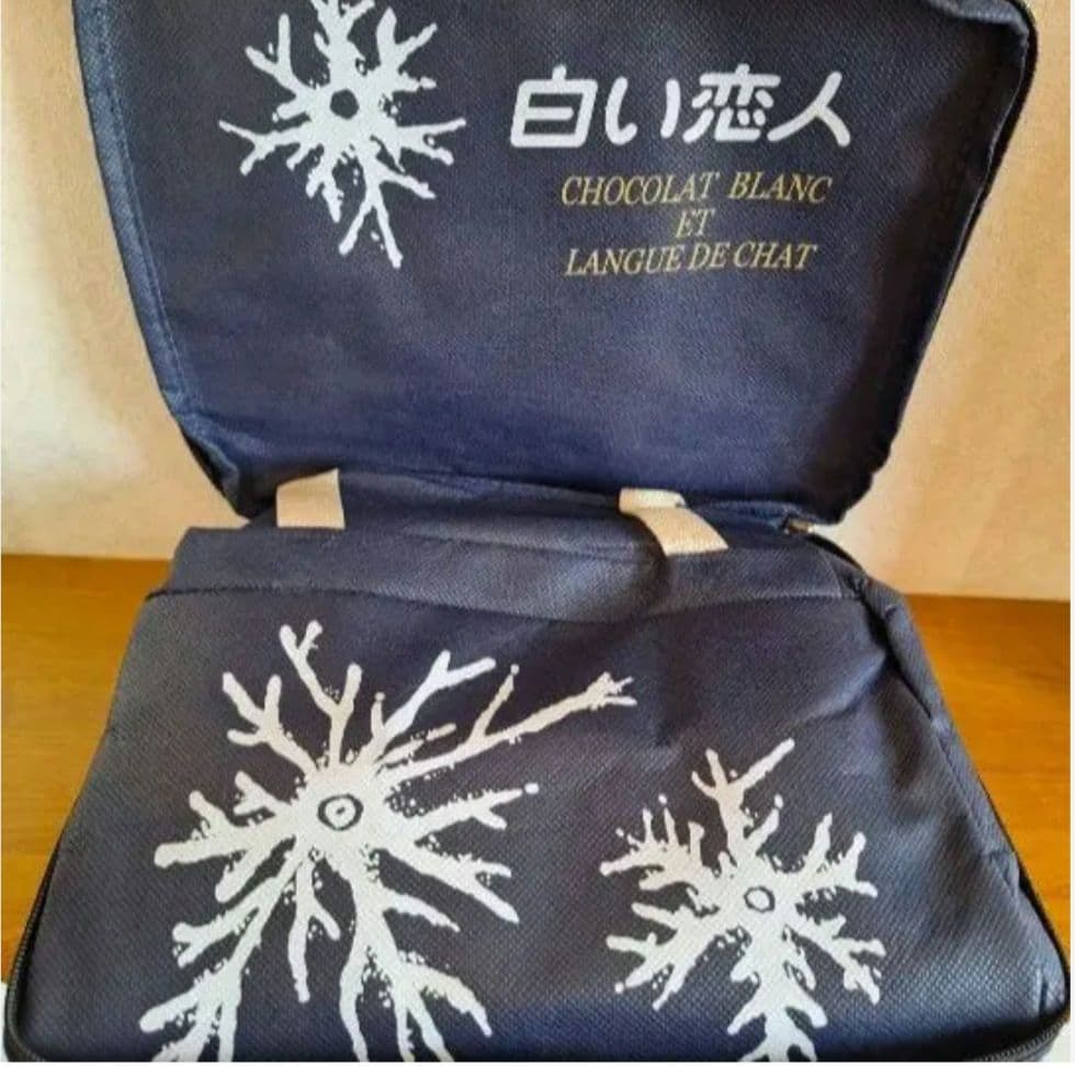 折りたたみ式保冷キャリーバッグ