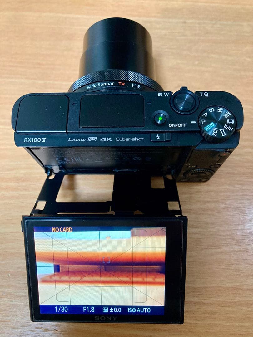 SONY Cyber-shot DSC-RX100M5 A【予備電池、SD付】