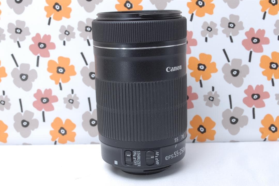 ❤Canon EF-S 55-250mm IS STM❤美品❤超望遠レンズ❤