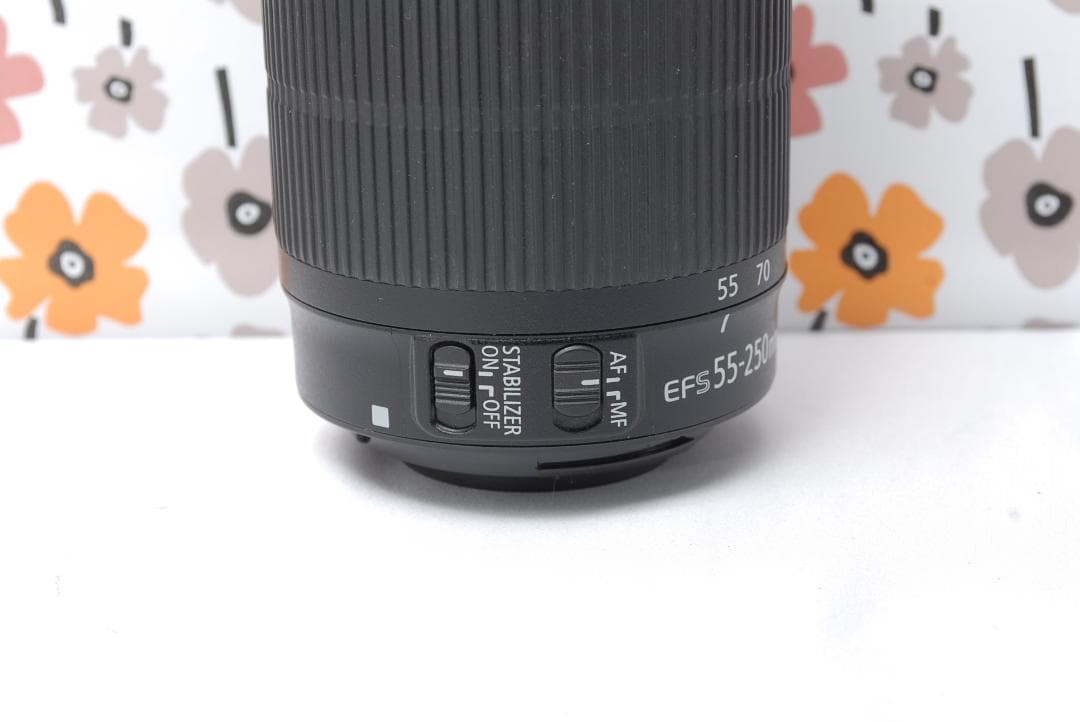 ❤Canon EF-S 55-250mm IS STM❤美品❤超望遠レンズ❤