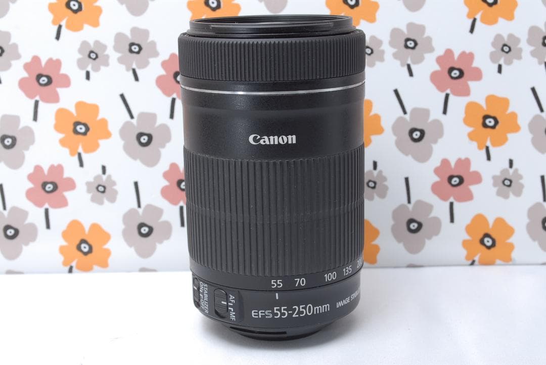 ❤Canon EF-S 55-250mm IS STM❤美品❤超望遠レンズ❤