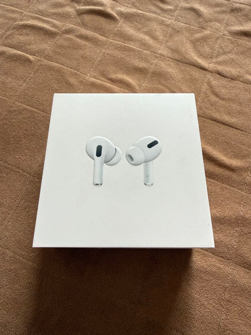 Apple AirPods Pro 本体 (第1世代)