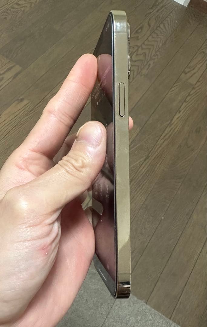 iPhone 13 Pro Max 256GB SIMフリー