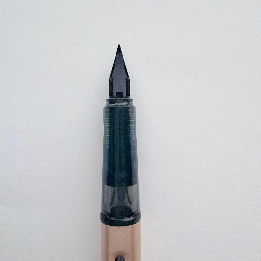 LAMY Lx(ルクス)万年筆 ローズゴールド アルミケース付＆コンバータ付