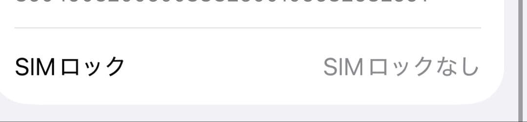 Apple iPhone 12 Pro 256GB SIMフリー 極美品