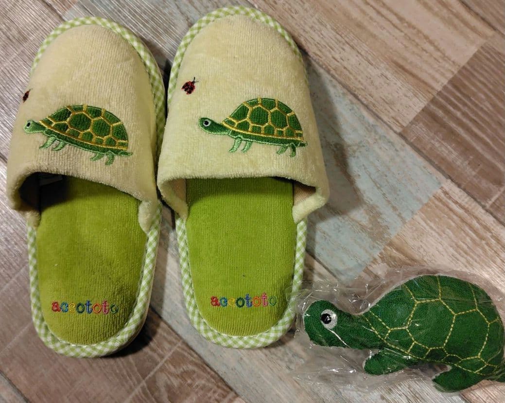 アッコトトセット
