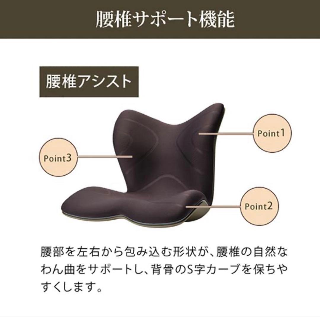 【新品】正規販売　スタイルプレミアム Style PREMIUM 骨盤クッション