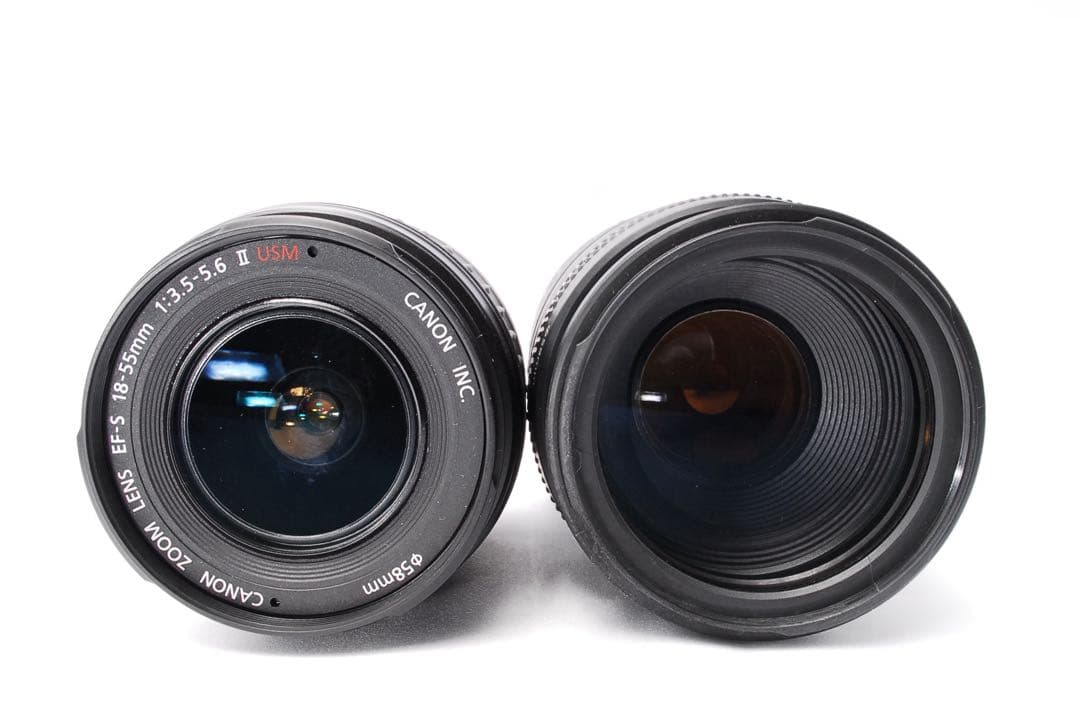 Canon kiss X5 一眼レフ☆望遠付きWレンズ☆付属品付きすぐ使える☆