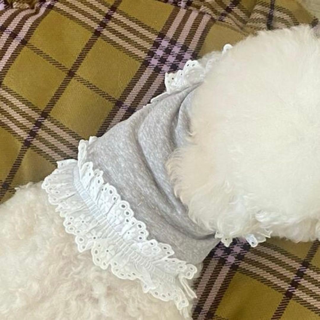 Louisdog★Grey Frill Linen Sleeveless SM