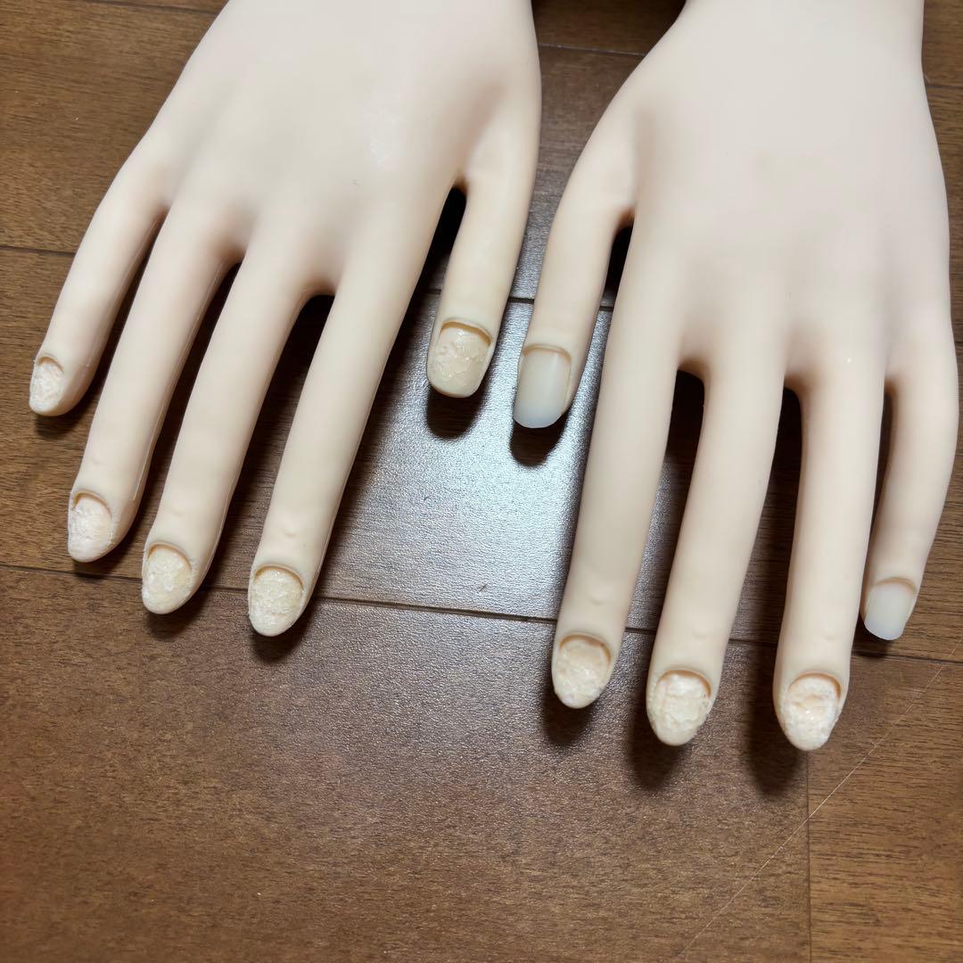 検定認定用ハンド 検定 ハンド ジェルネイル