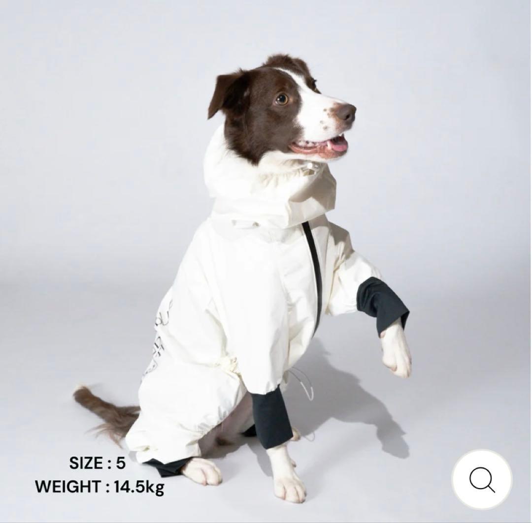 値下げ　STANDING ON THE BLUE レインコート　犬　サイズ6