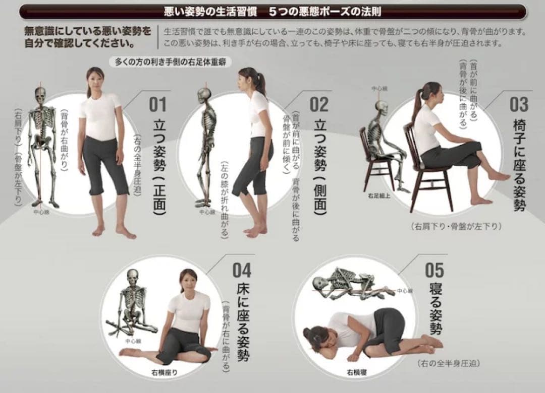 バランサーバンド 骨盤ベルト Lサイズ 90-100 股関節サポーター　男女兼用