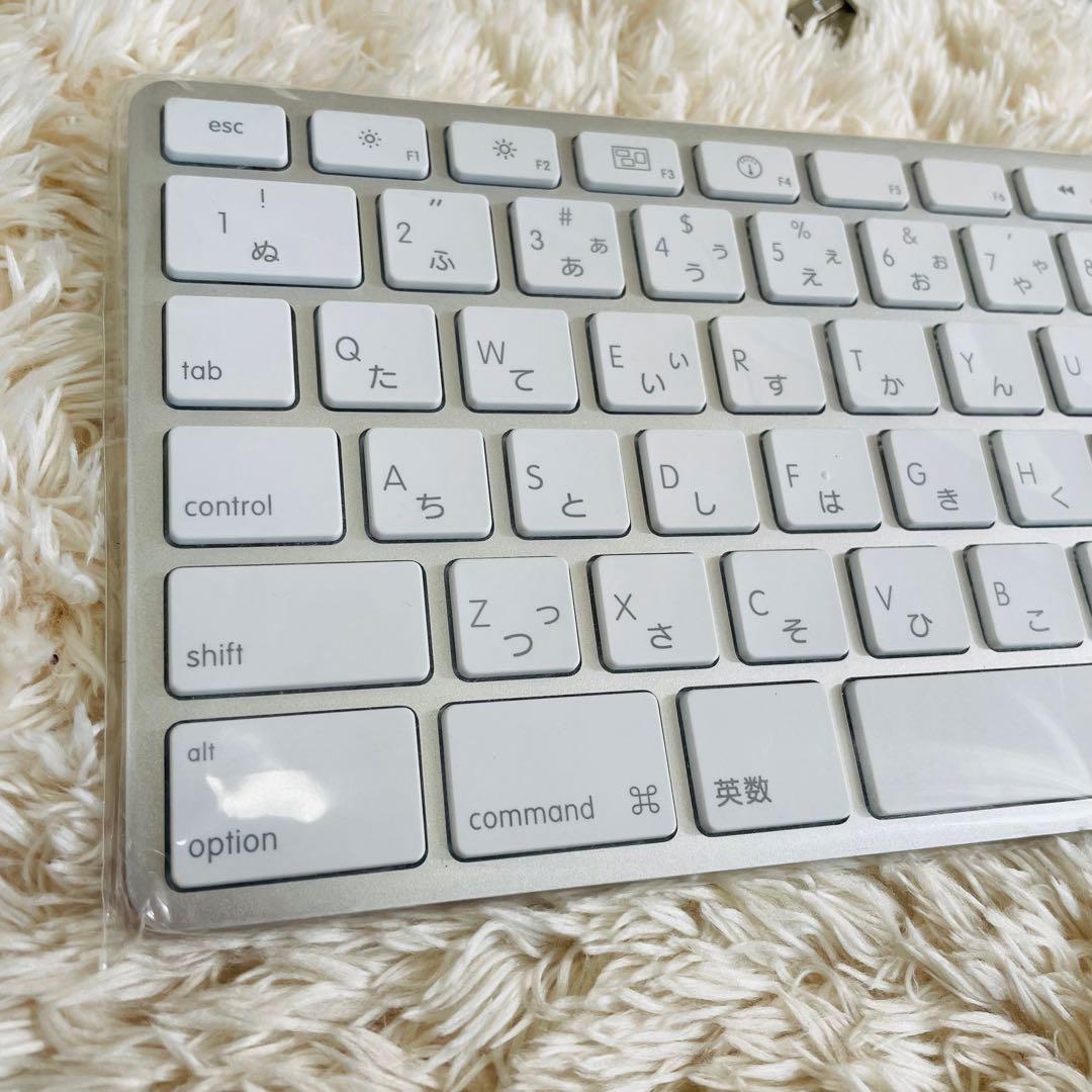 未使用✨　Apple 純正 USBキーボード A1243 US テンキー付