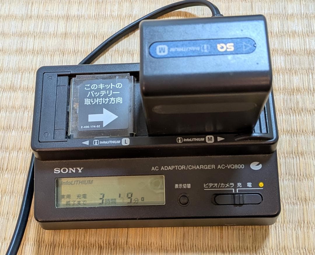 SONY DCR-TRV10 ビデオカメラ
