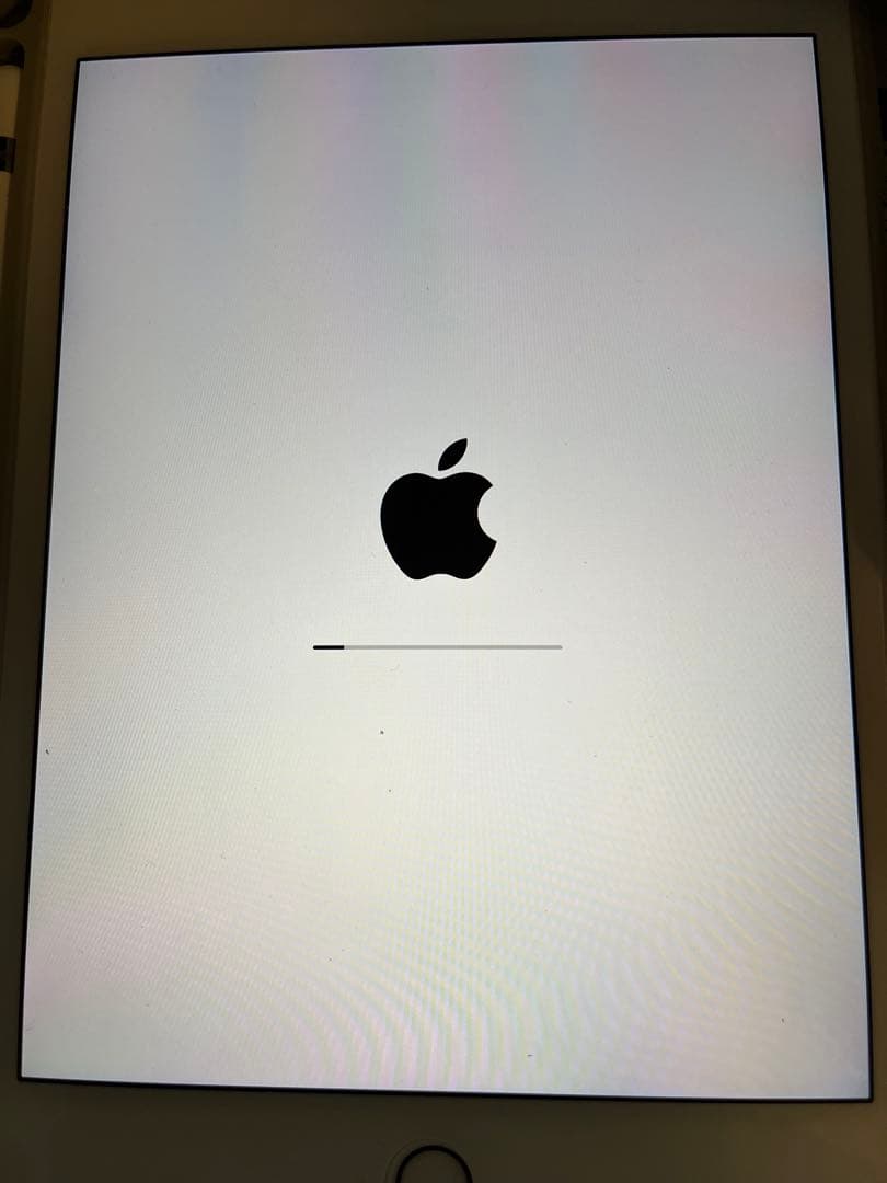 iPad mini 第5世代 保護ケース　apple pencil付き