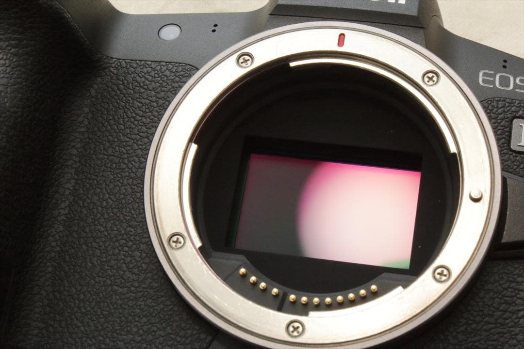 スマホ転送！美品！Canon EOS R ボディ　ミラーレスカメラ
