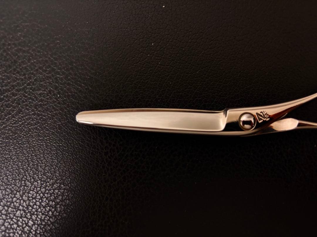 【セール】新品 未使用 ハイネッタ シザー レミー 201