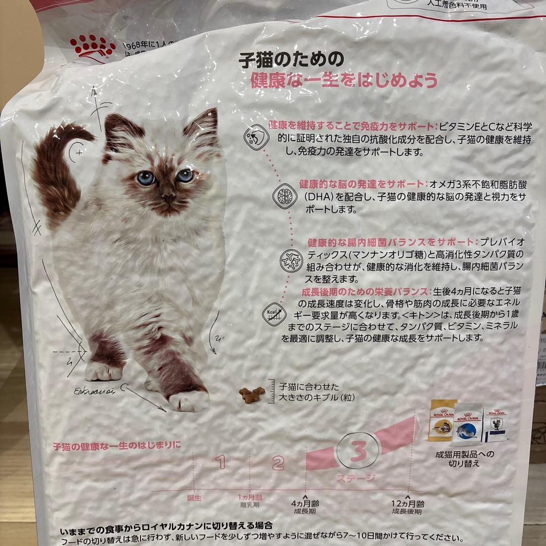  CANIN 子猫用ドライフード 10kg