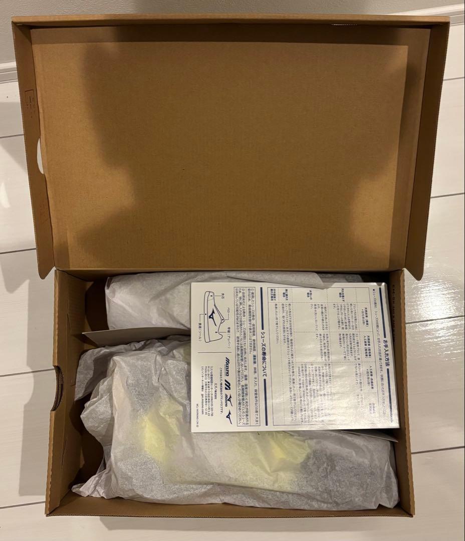 Mizuno 安全靴 ALMIGHTY SDII 13H 28.0cm 値下げ中