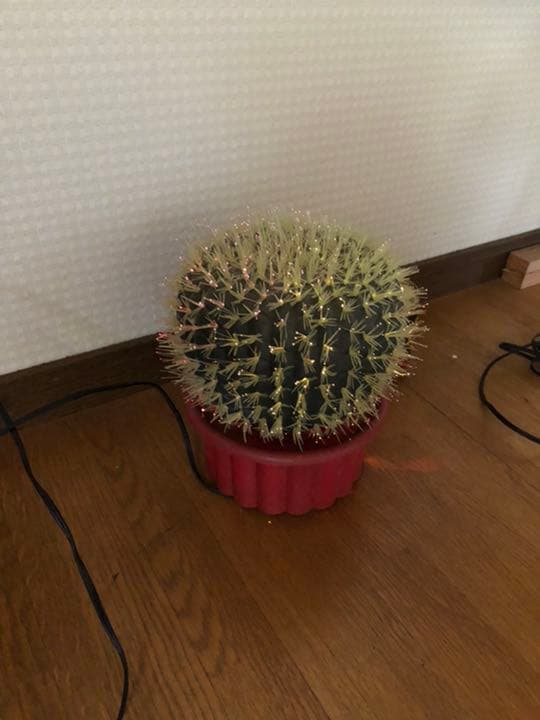 サボテン　アメリカ　アンティーク雑貨　USA ビンテージ　古着