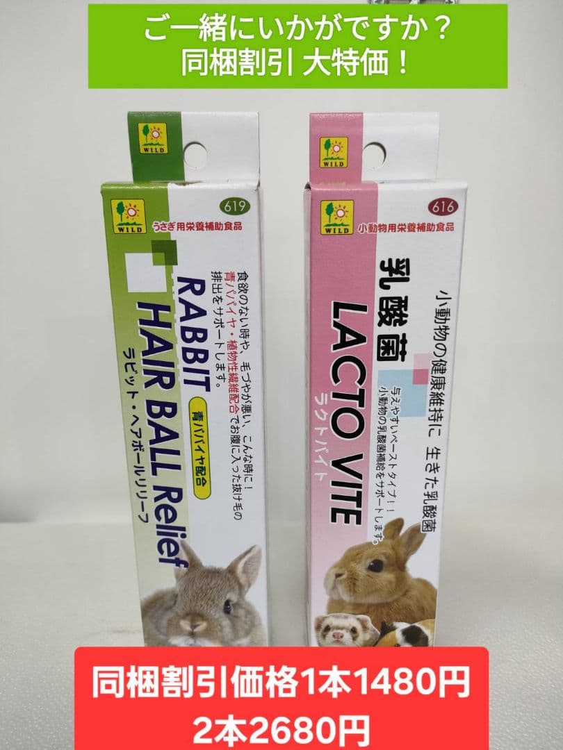 モルモットセレクションプロ600g×10袋