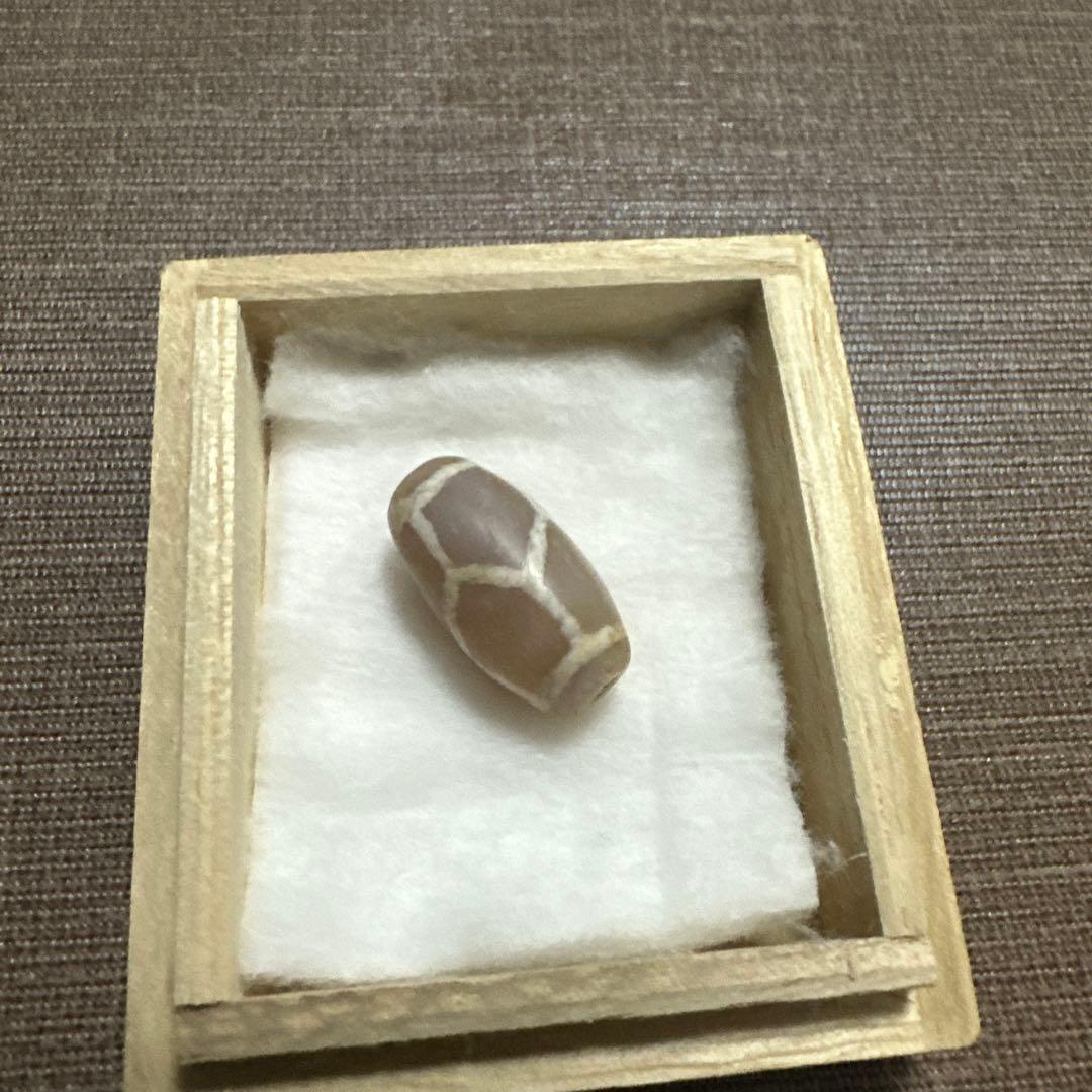 紅朱砂　亀甲EC