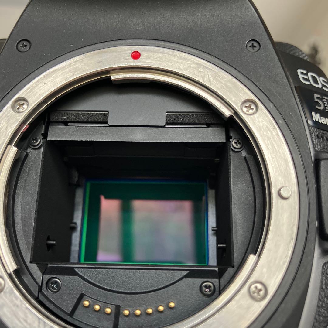 Canon EOS 5D Mark IV 本体　+ バッテリーグリップセット