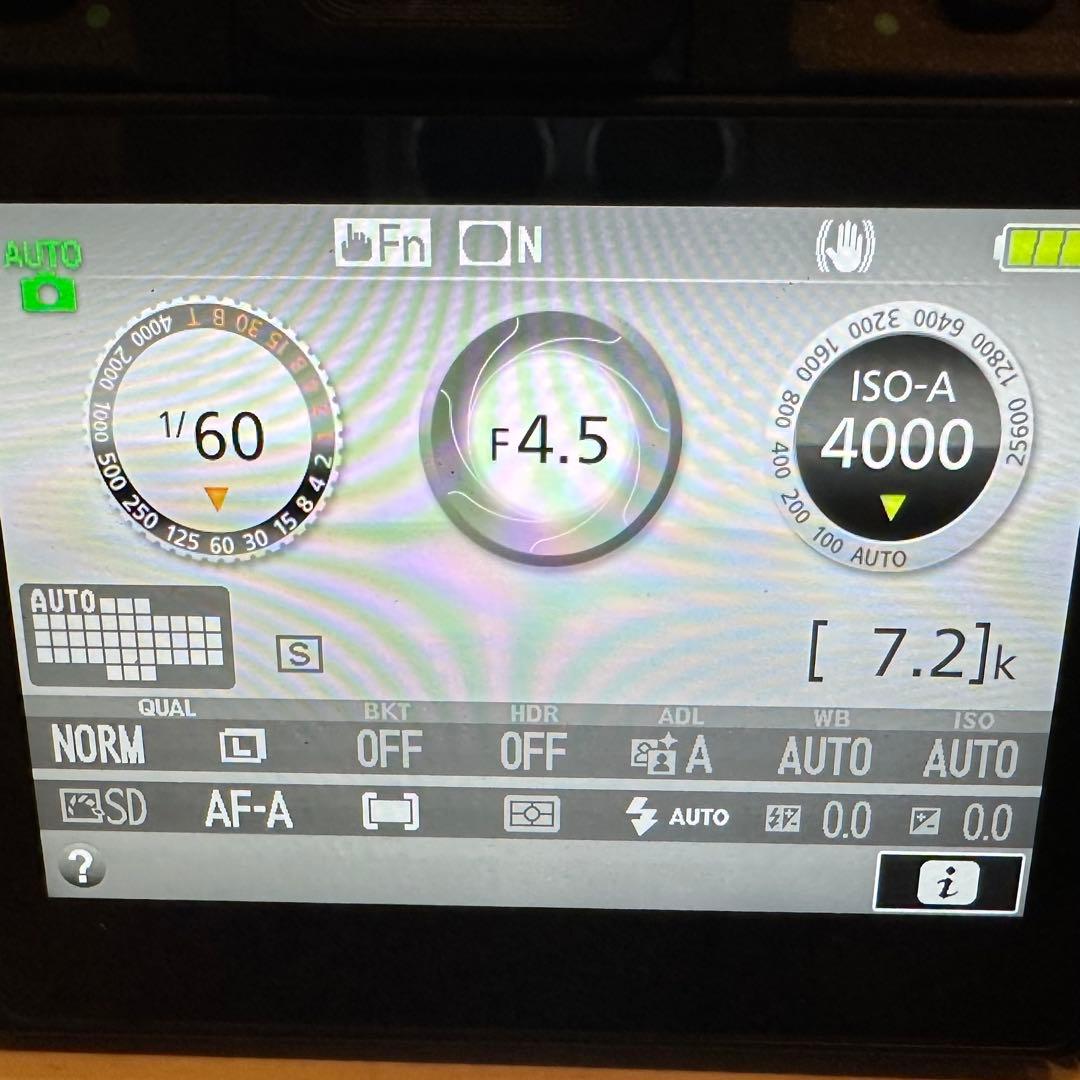 【美品】Nikon D5600 ダブルズームキット バッテリー2個 充電器付