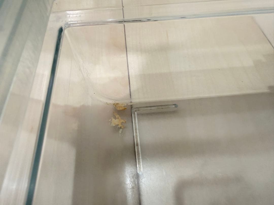 【中古】GEX グラスハーモニー600プラス (新品未開封の床材＆フード付き)