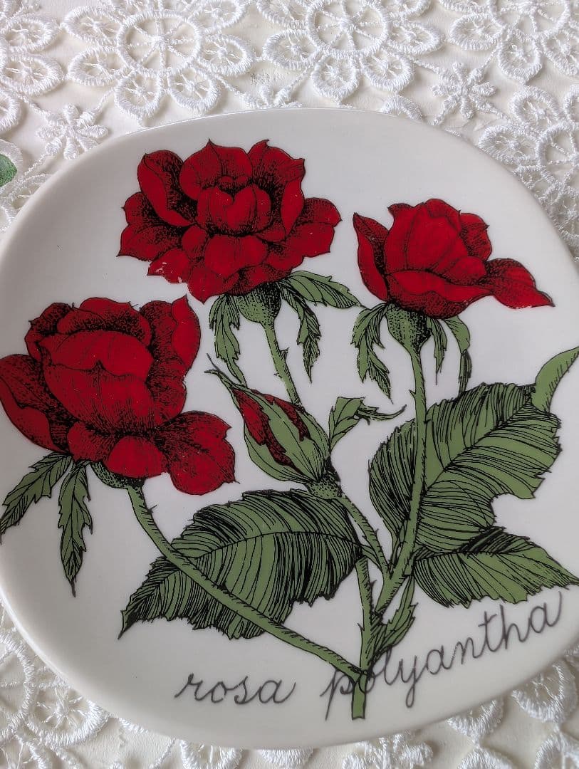 ARABIA アラビア ボタニカ 野ばら　rosa polyantha