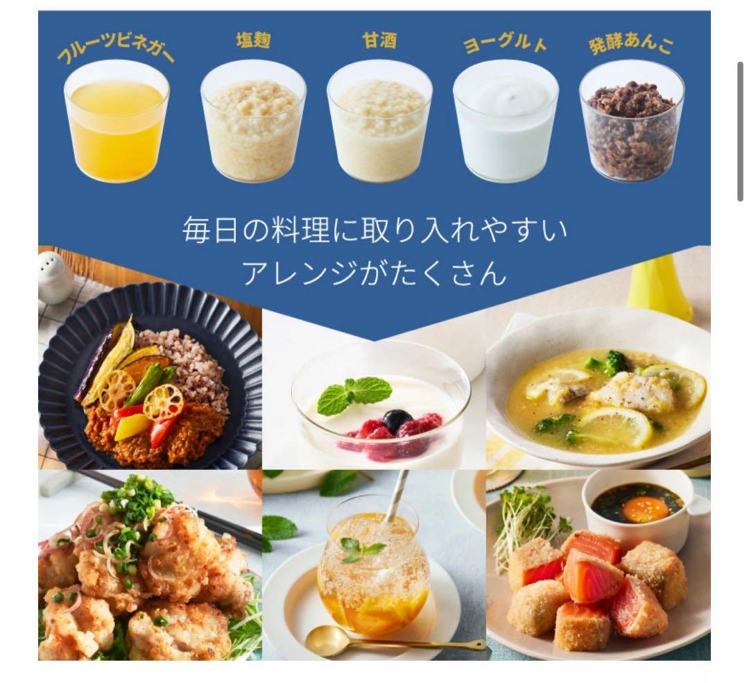 BRUNO コンパクト発酵メーカー 600ml