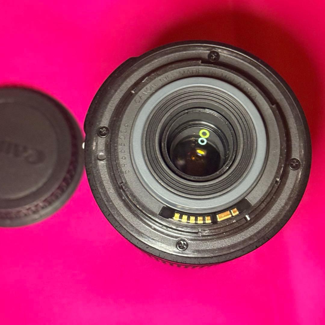Canon EF-S 55-250mm F4 ズームレンズ