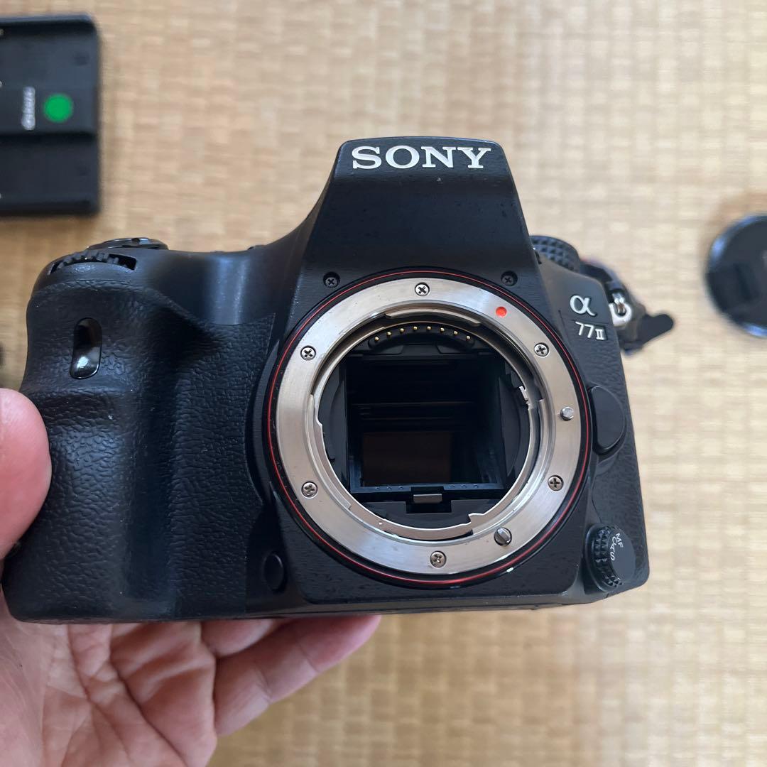 SONY α77II [ILCA-77M2] +DT16-50/2.8