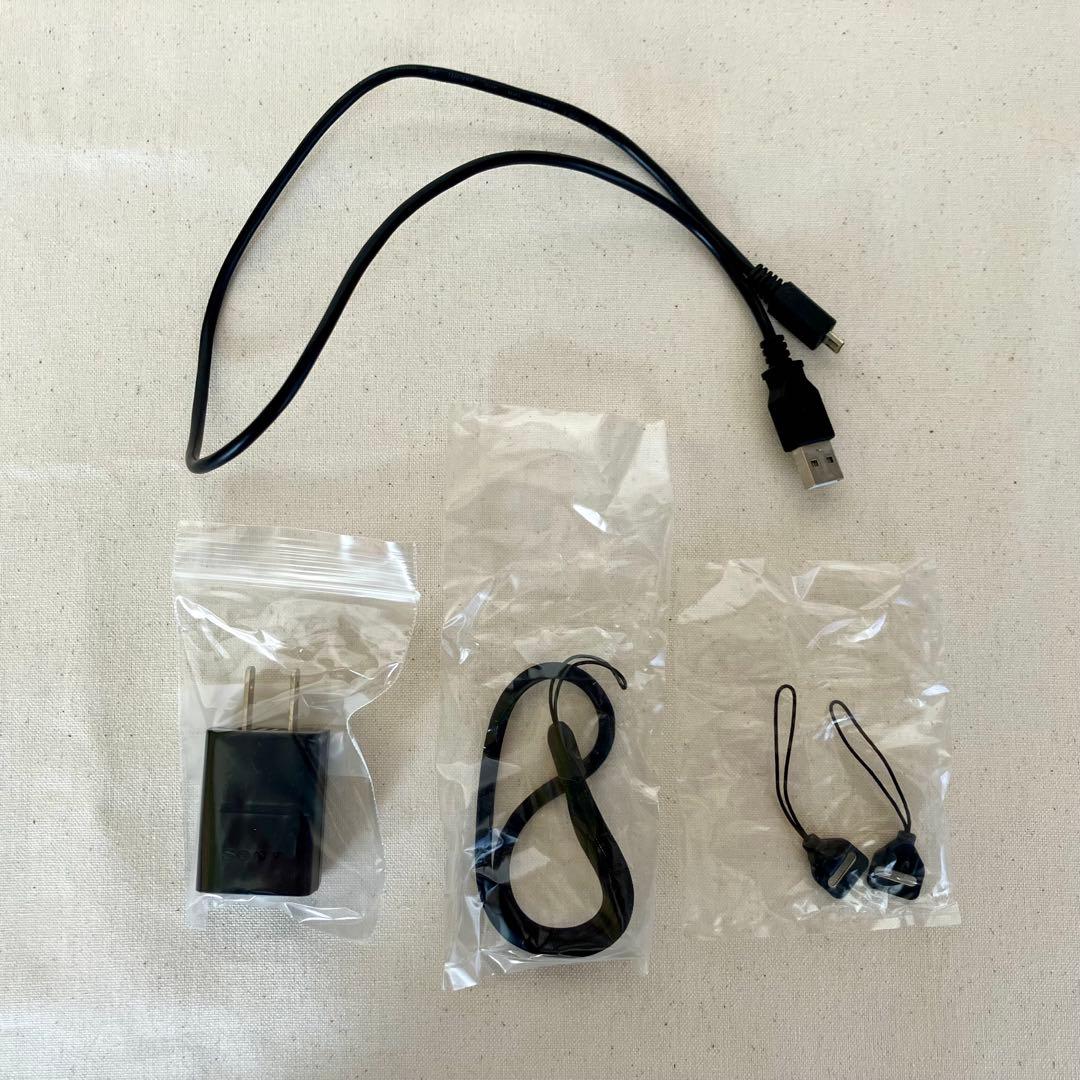 【美品】 SONY 初代 DSC-RX100 箱、純正付属品付