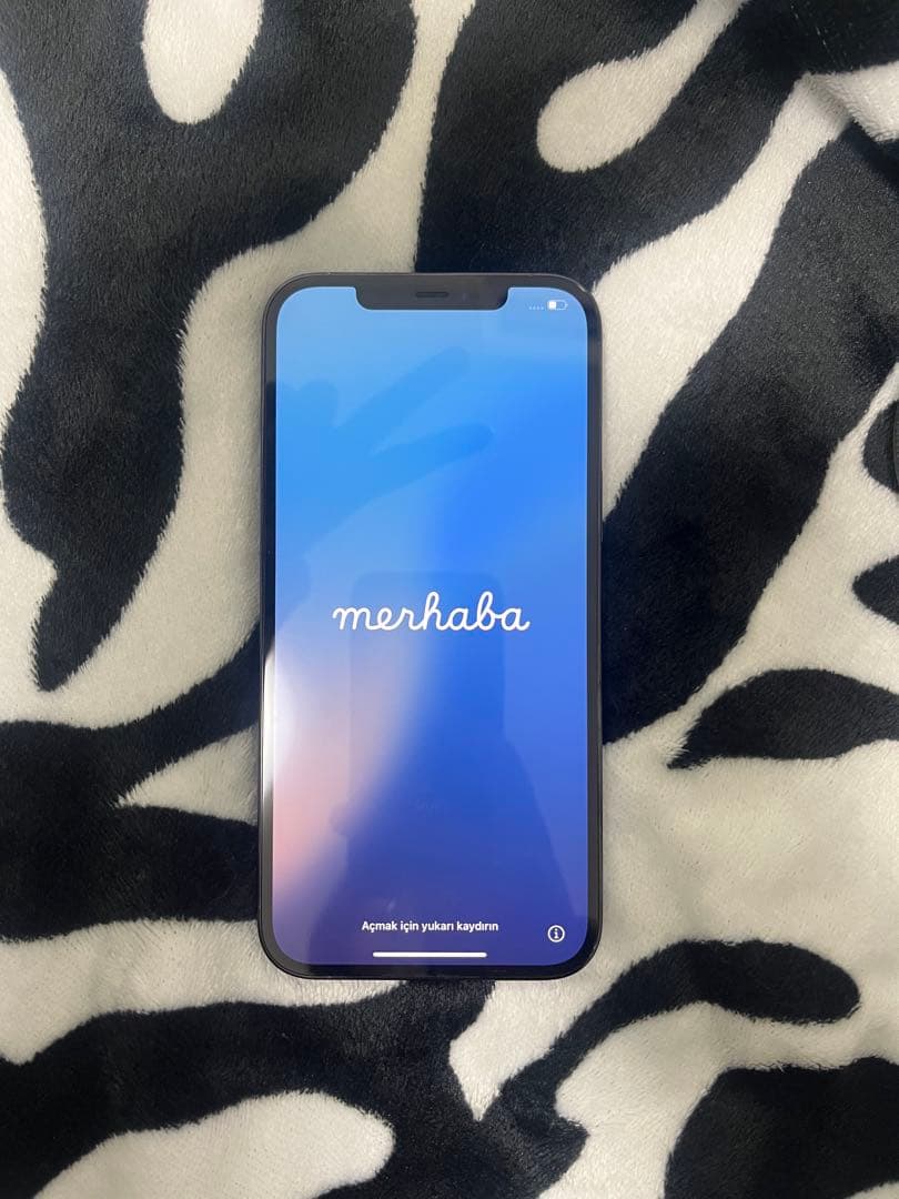 iPhone12 Pro Max パシフィックブルー 256GB 値引き交渉️ ⭕️