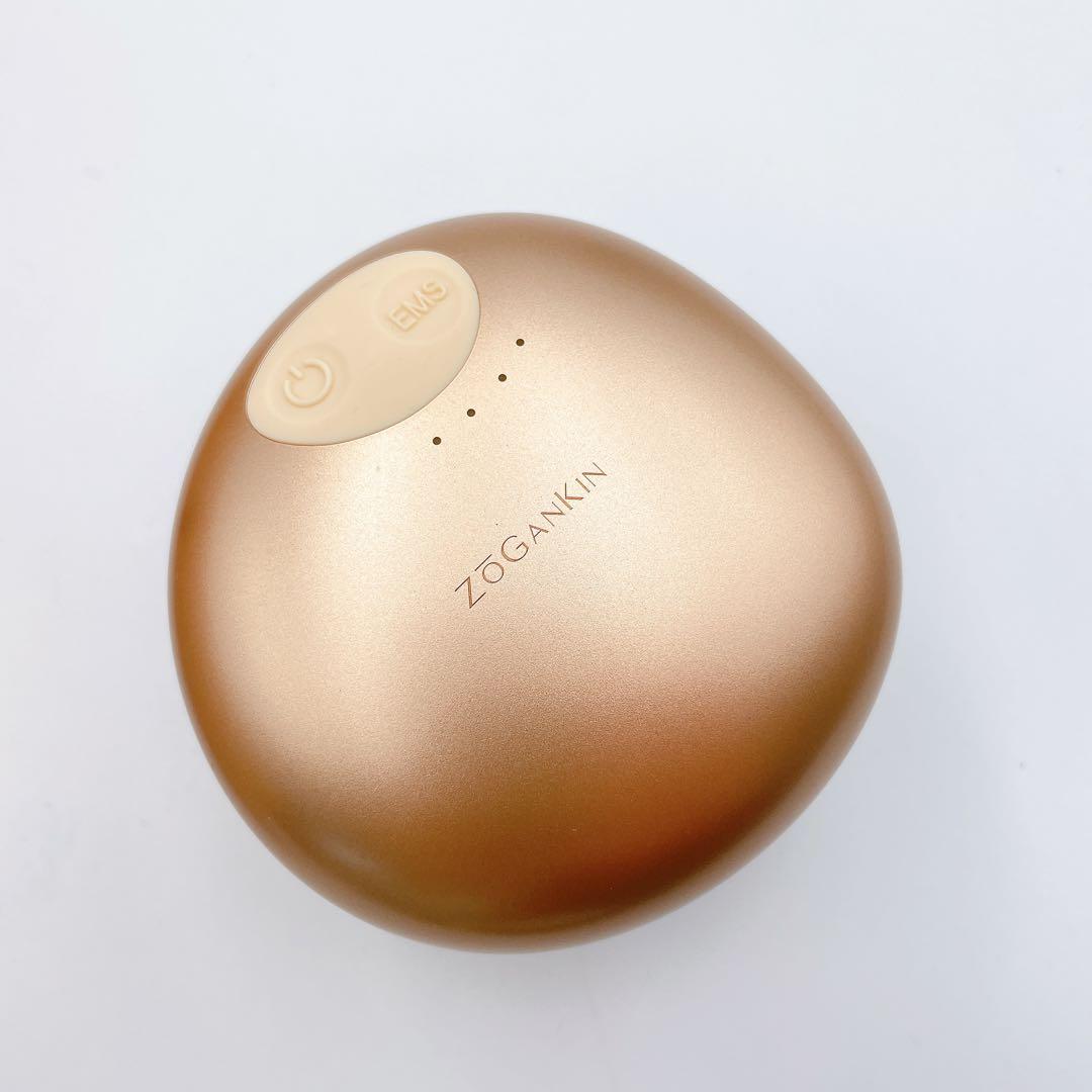 ZOGANKIN CL-ZKS ゾーガンキンスカルプ 美顔器