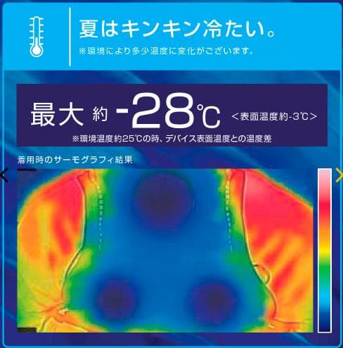 ワークマン ウィンドコアアイス×ヒーターペルチェベストPRO2 2025年版