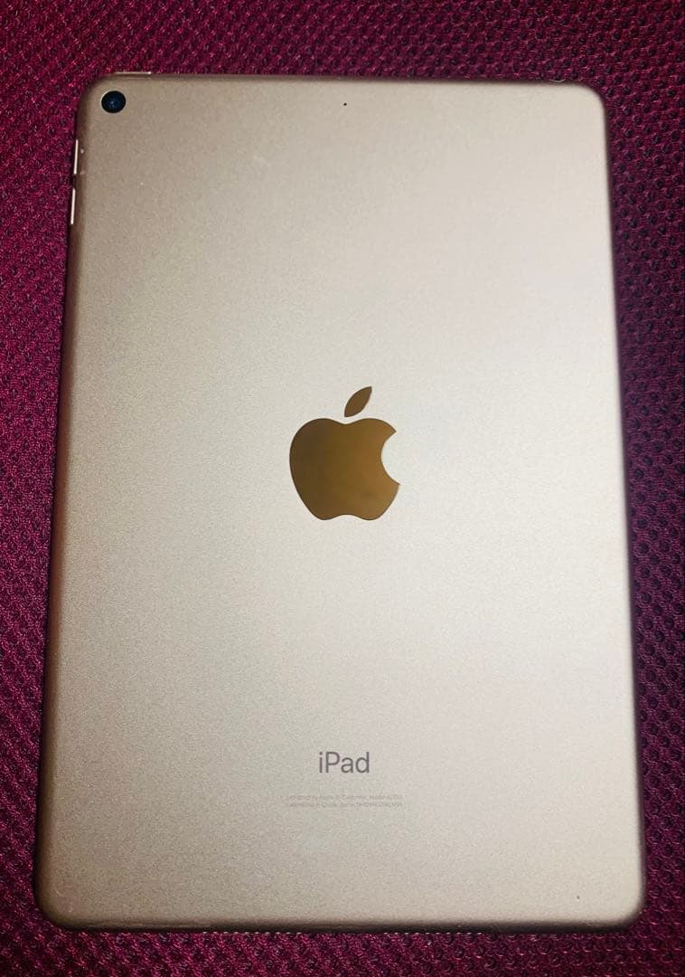 iPad mini Wi-Fi 64GB ゴールド　Apple Pencil付き