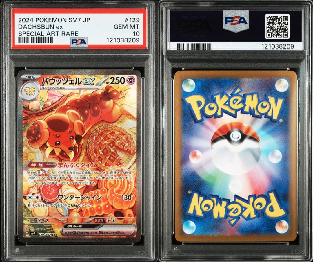 PSA10 バウッツェル ex SAR