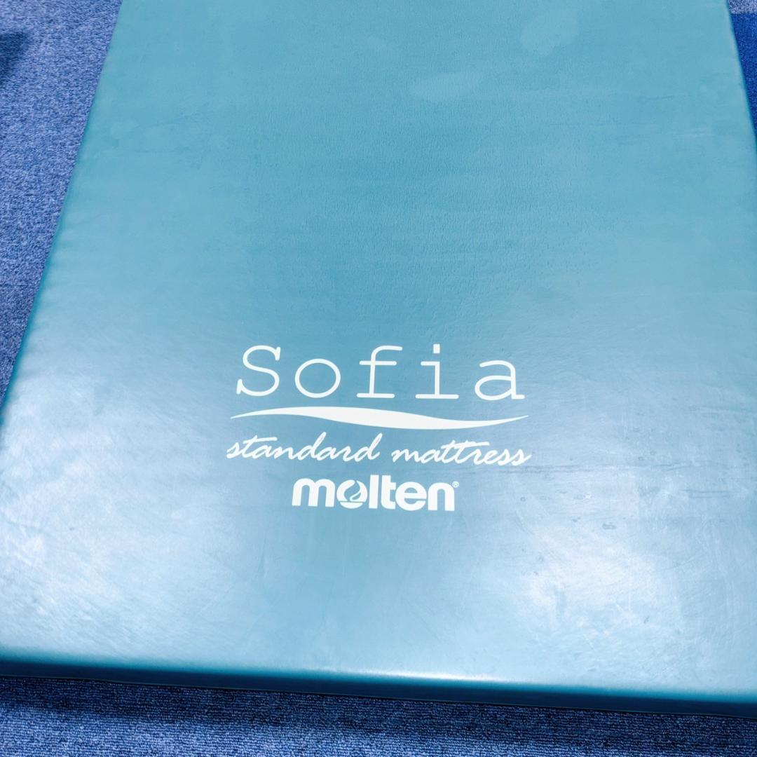 【送料込】molten ソフィアway 介護用マットレス リバーシブル 介護 ④
