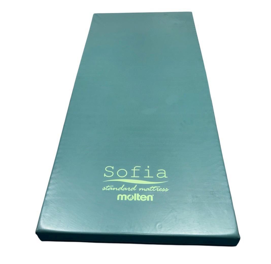 【送料込】molten ソフィアway 介護用マットレス リバーシブル 介護 ④
