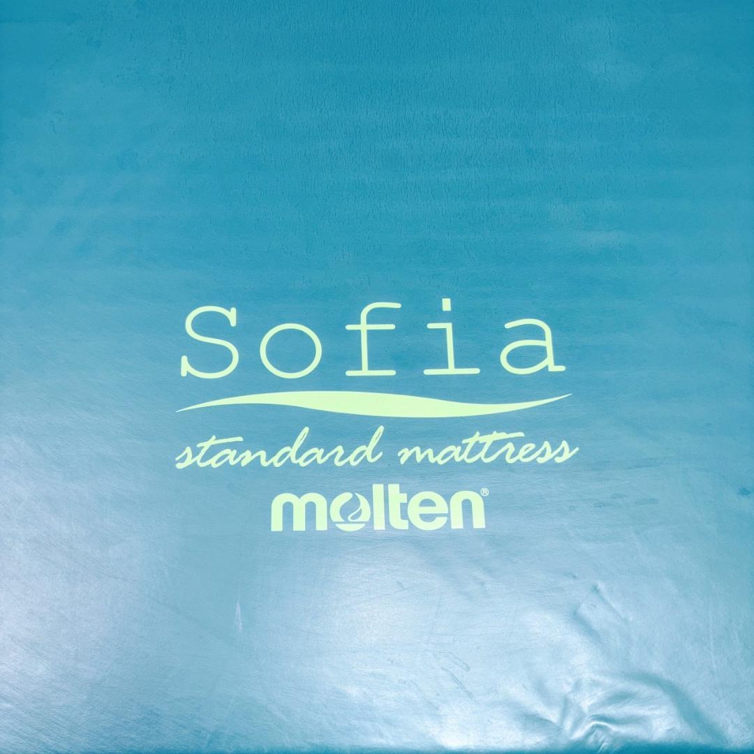 【送料込】molten ソフィアway 介護用マットレス リバーシブル 介護 ④