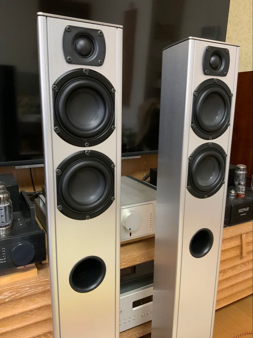 piega ts5 定価316800円