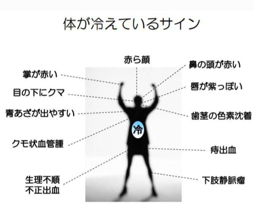3月8日迄感謝限定価格　温浴器ステンレス製直径20cm