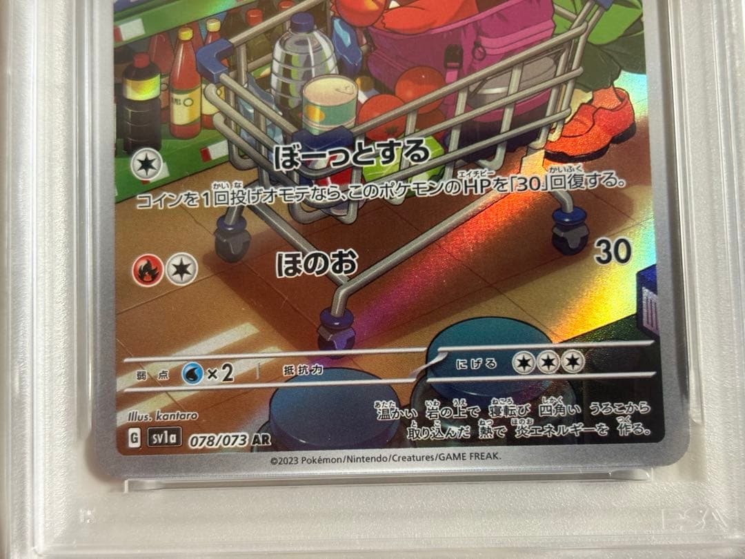 ホゲータ　AR PSA10