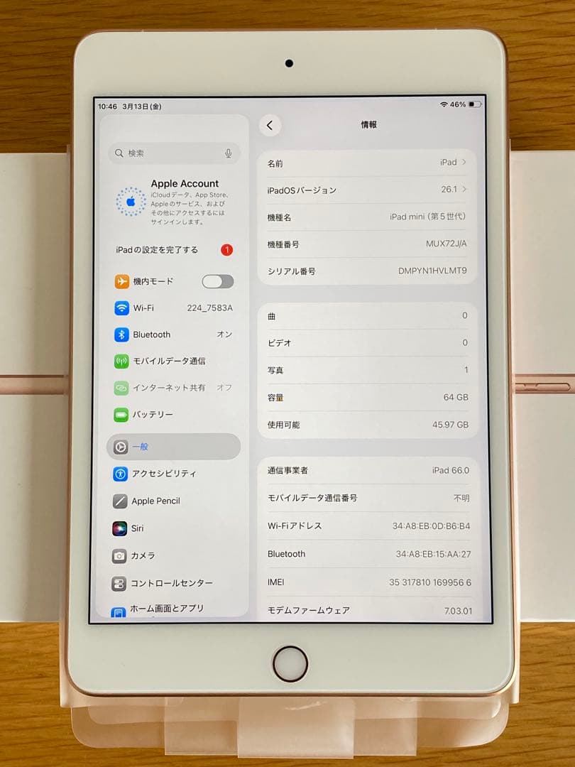 iPad mini 第5世代 ゴールド 付属品完備　iPad 本体　Aランク
