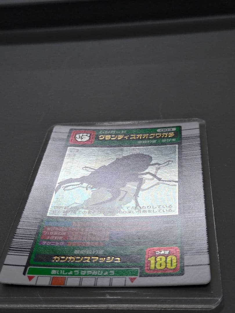 003グランディスオオクワガタ 2003春 美品